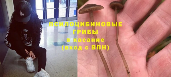 spice Арсеньев